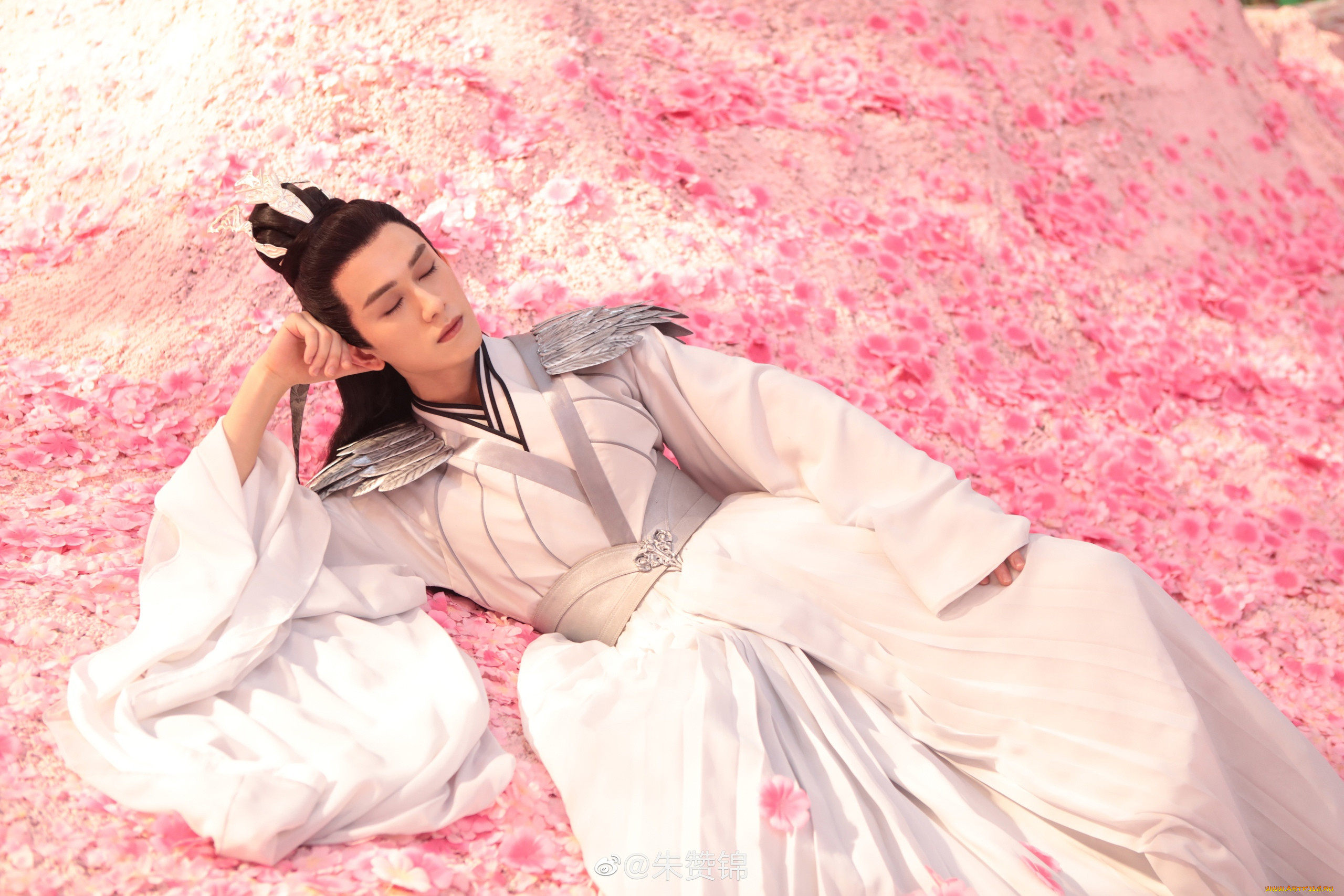 miss the dragon,  , zhu, zanjin, , 
